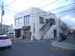 example_140.jpg